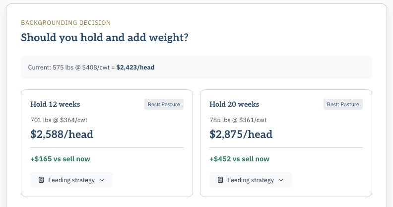 Backgrounding decision showing hold options